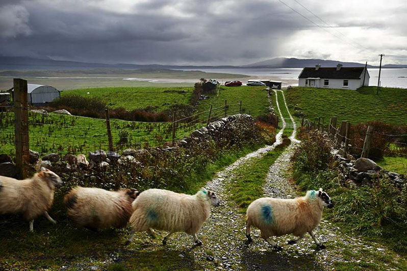 Wild Atlantic Way