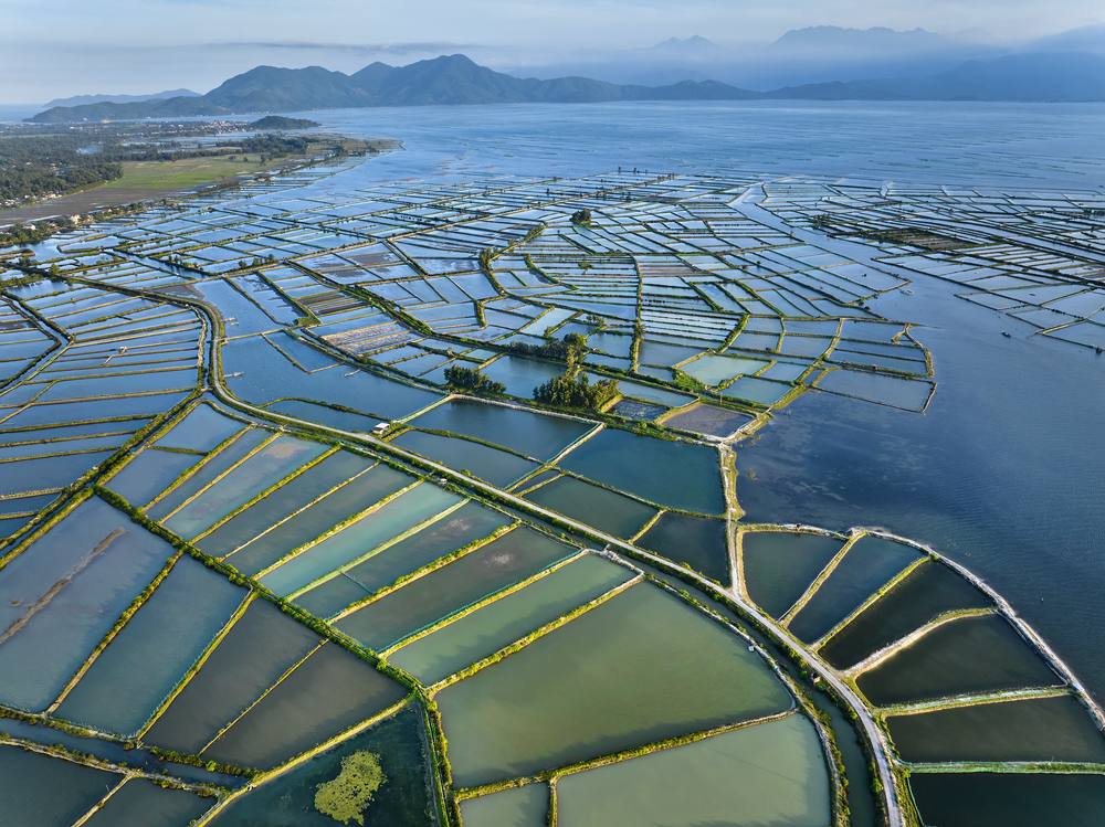 Asian Waters