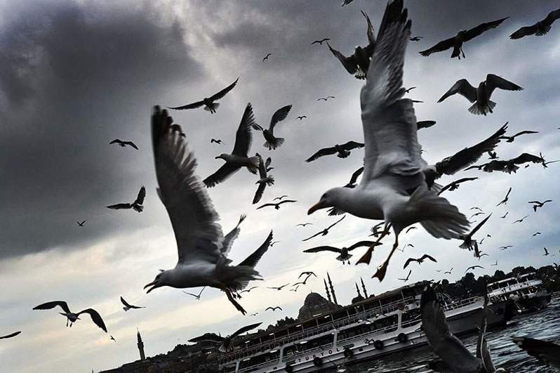 Istanbul Grand Bazaar
