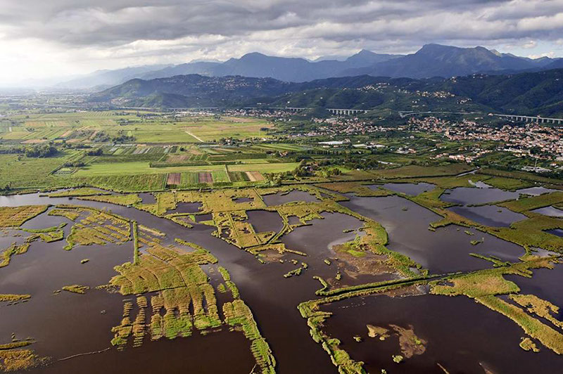 Massaciuccoli Lake
