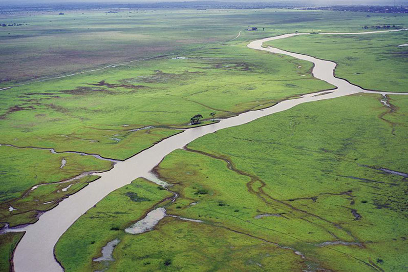Amazon River Delta