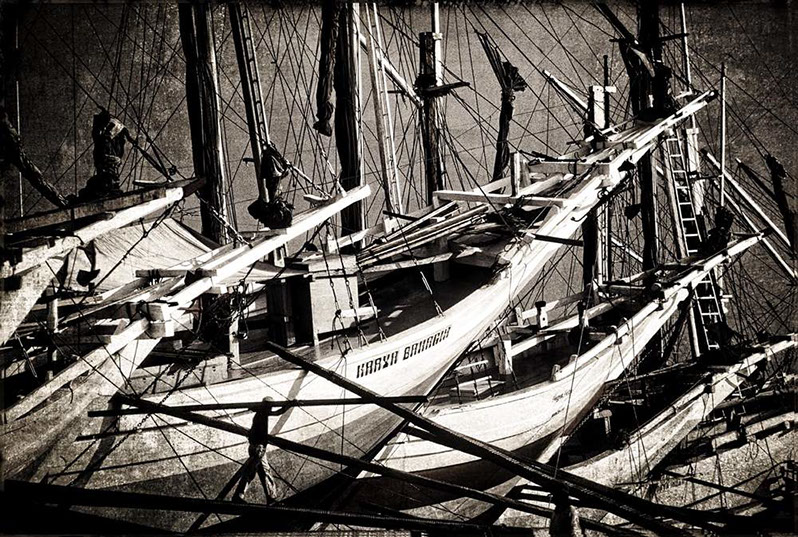 Bugis Sailors