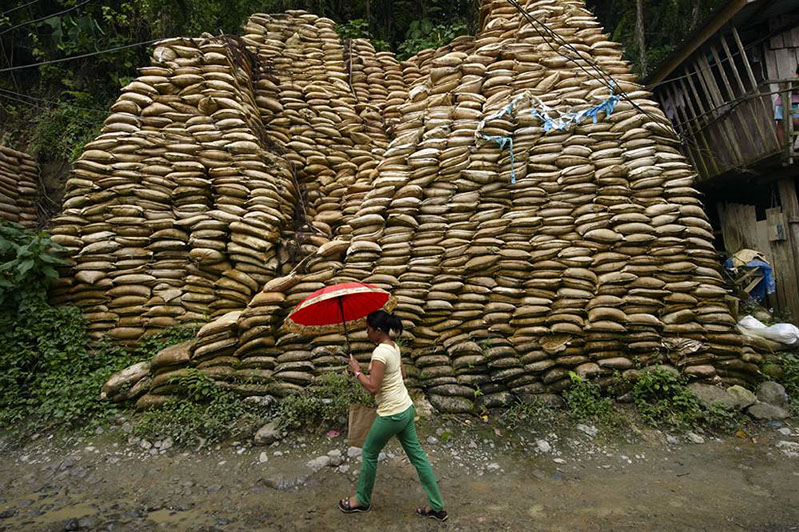 Gold Mining in Diwalwal
